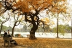 <b>Vé máy bay  Hồ Chí Minh đi Hà Nội</b>